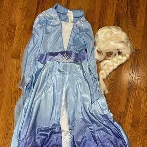 Elsa Frozen II Deluxe Adult Costume & Elsa Wig